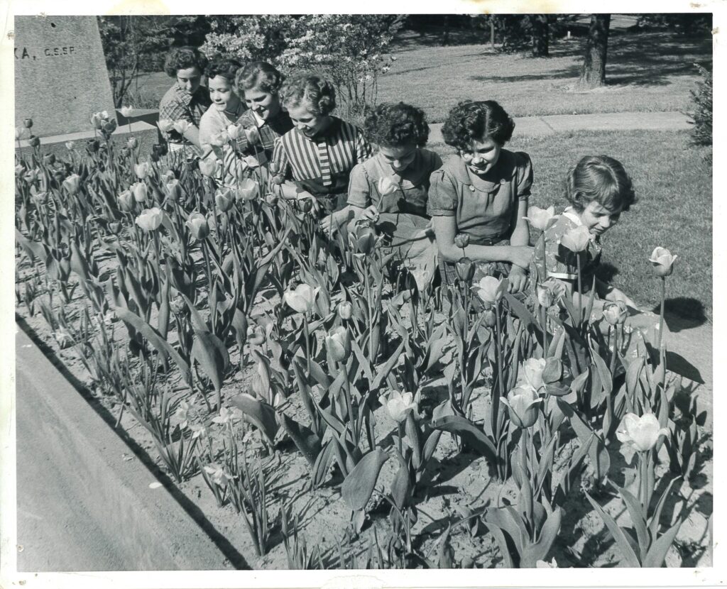 A black and white photo of six young women and one young girl, sitting on a garden wall and looking at the blooming tulips.