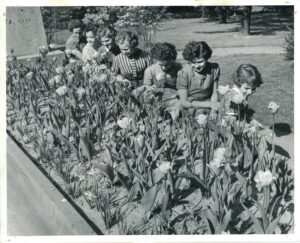 A black and white photo of six young women and one young girl, sitting on a garden wall and looking at the blooming tulips.